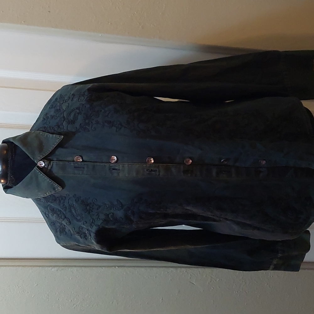 Ladies long sleeve denim button-down